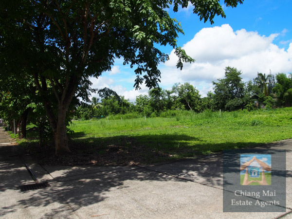 Land For Sale in Royal View - Land