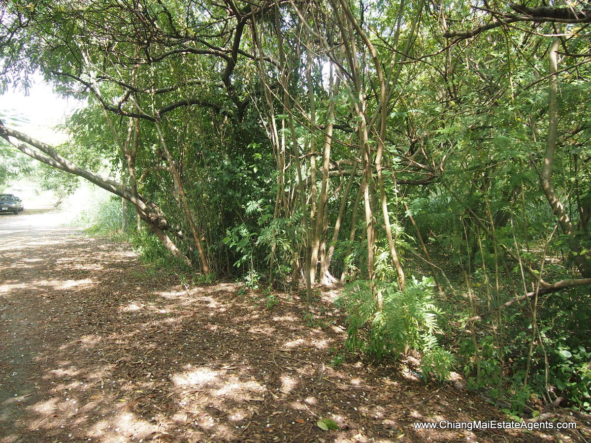 1 Rai of Land for Sale in Tanbon Suthep