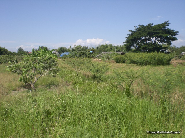 Excellent 9.2 Rai of Land for Sale in SanPatong - Land