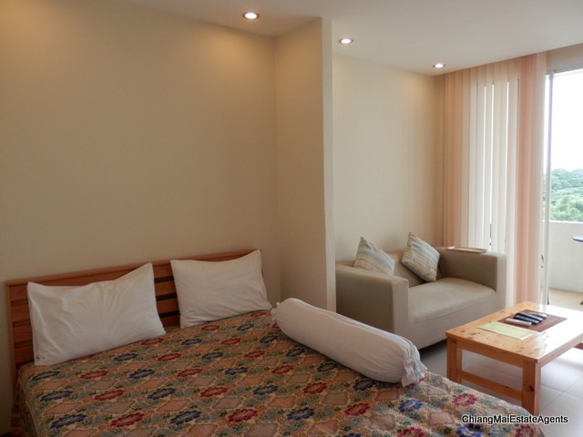 Tastefully Renovated Studio Condo For Rent