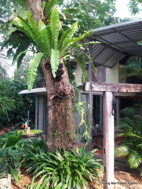 Great Value Home with Personality and Private Garden for Sale