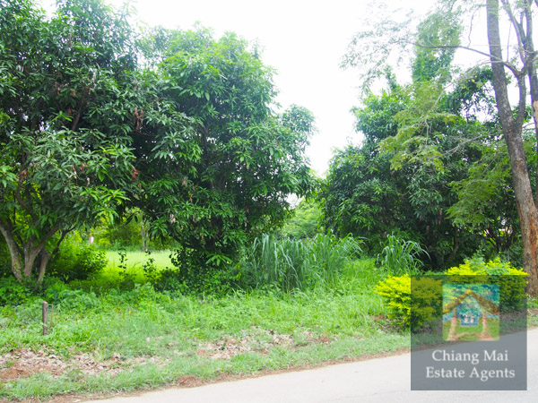 Land For Sale in Moo Baan Wang Tan - Land