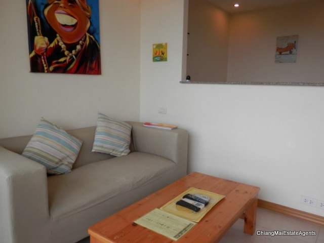 A Nicely Renovated Studio Condo for Rent